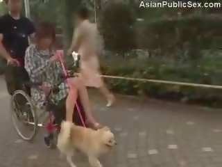 Orgásmico wheelchair consolador en público
