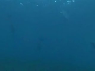Underwater x topplista filma